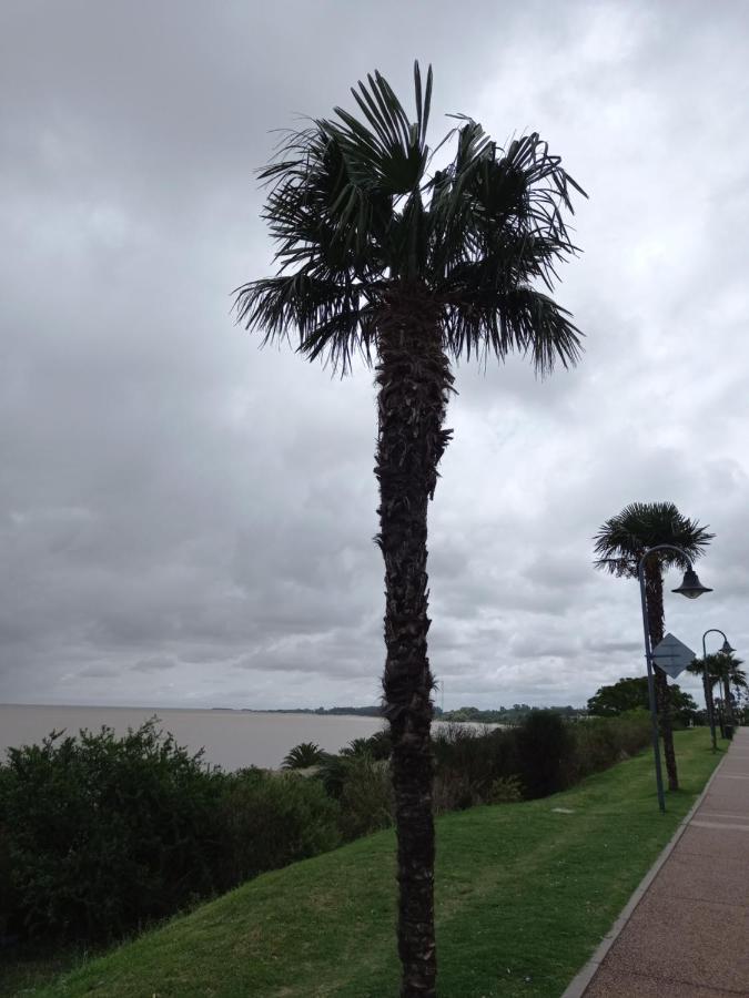Monoambiente En Colonia Apartment Colonia del Sacramento Ngoại thất bức ảnh